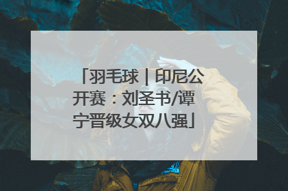 羽毛球｜印尼公开赛：刘圣书/谭宁晋级女双八强