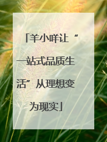 羊小咩让“一站式品质生活”从理想变为现实