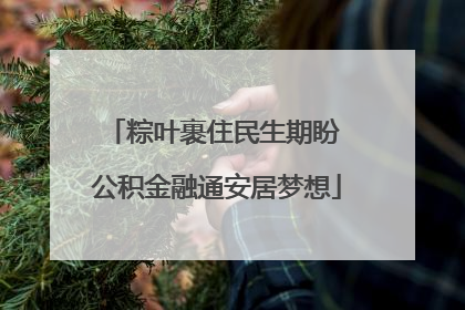 粽叶裹住民生期盼 公积金融通安居梦想