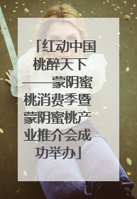 红动中国 桃醉天下——蒙阴蜜桃消费季暨蒙阴蜜桃产业推介会成功举办