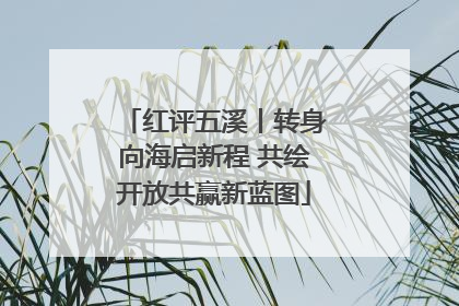 红评五溪丨转身向海启新程 共绘开放共赢新蓝图