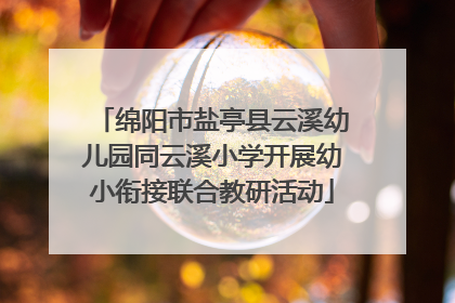 绵阳市盐亭县云溪幼儿园同云溪小学开展幼小衔接联合教研活动