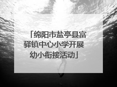 绵阳市盐亭县富驿镇中心小学开展幼小衔接活动