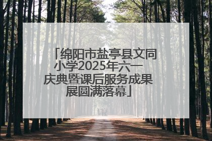 绵阳市盐亭县文同小学2025年六一庆典暨课后服务成果展圆满落幕