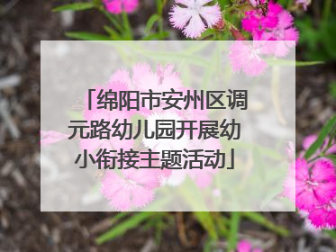 绵阳市安州区调元路幼儿园开展幼小衔接主题活动