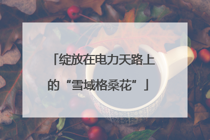 绽放在电力天路上的“雪域格桑花”