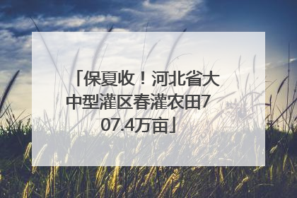 保夏收！河北省大中型灌区春灌农田707.4万亩