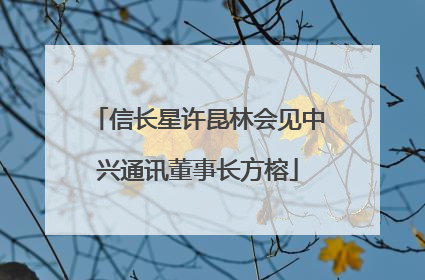 信长星许昆林会见中兴通讯董事长方榕