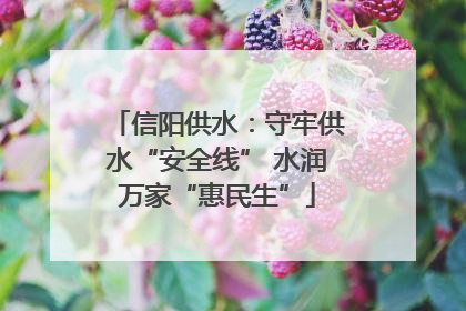 信阳供水：守牢供水“安全线” 水润万家“惠民生”