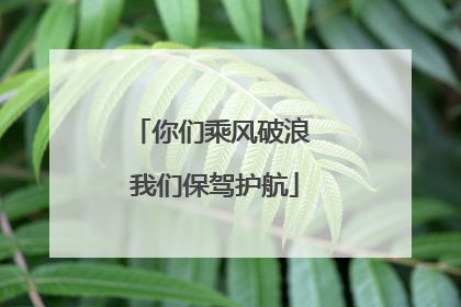 你们乘风破浪 我们保驾护航