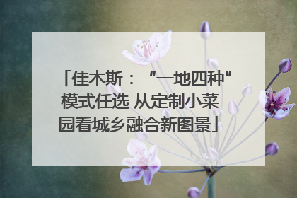 佳木斯：“一地四种” 模式任选 从定制小菜园看城乡融合新图景