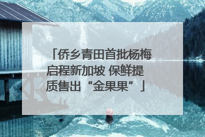 侨乡青田首批杨梅启程新加坡 保鲜提质售出“金果果”