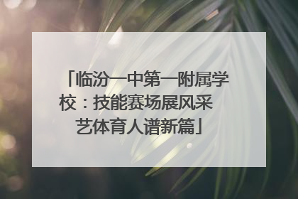 临汾一中第一附属学校：技能赛场展风采 艺体育人谱新篇