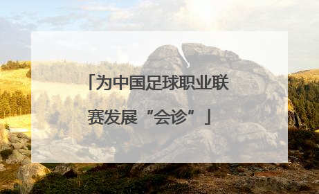 为中国足球职业联赛发展“会诊”