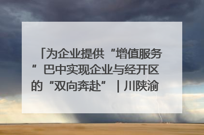 为企业提供“增值服务”巴中实现企业与经开区的“双向奔赴”｜川陕渝网络名人巴中行