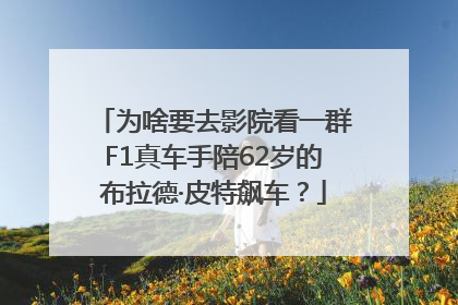 为啥要去影院看一群F1真车手陪62岁的布拉德·皮特飙车？