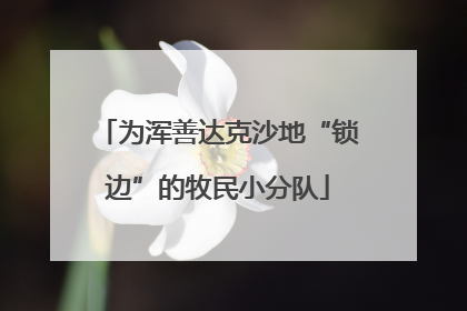 为浑善达克沙地“锁边”的牧民小分队