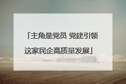 主角是党员 党建引领这家民企高质量发展