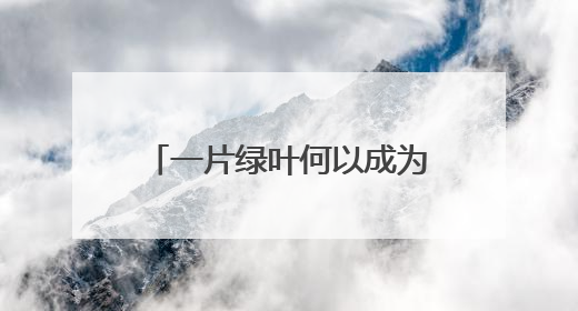 一片绿叶何以成为乡村振兴“金叶”