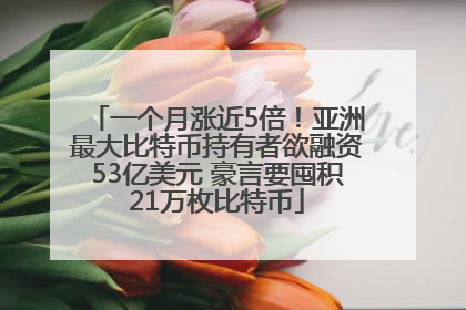 一个月涨近5倍！亚洲最大比特币持有者欲融资53亿美元 豪言要囤积21万枚比特币