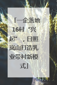 一企落地16村“兴起”，日照岚山打造乳业带村新模式