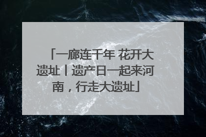一廊连千年 花开大遗址丨遗产日一起来河南，行走大遗址