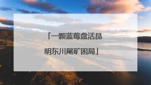 一颗蓝莓盘活昆明东川尾矿困局