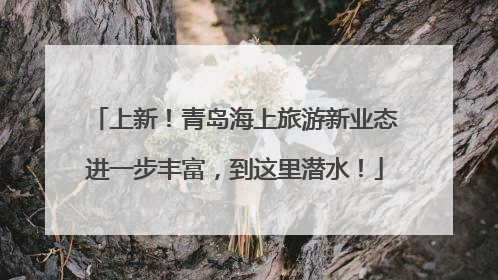 上新！青岛海上旅游新业态进一步丰富，到这里潜水！