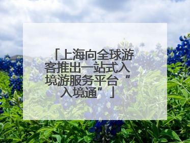 上海向全球游客推出一站式入境游服务平台“入境通”