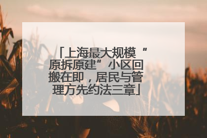上海最大规模“原拆原建”小区回搬在即，居民与管理方先约法三章