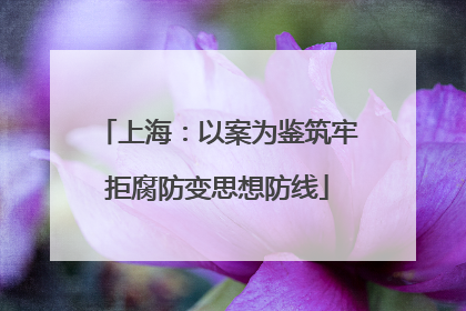 上海：以案为鉴筑牢拒腐防变思想防线