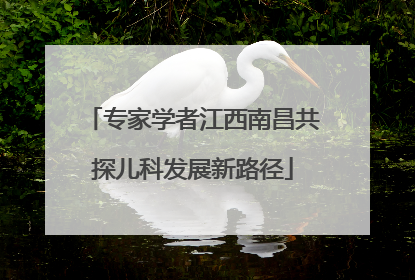 专家学者江西南昌共探儿科发展新路径