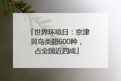 世界环境日：京津冀鸟类超600种，占全国近四成
