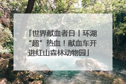 世界献血者日丨环湖“超”热血！献血车开进红山森林动物园