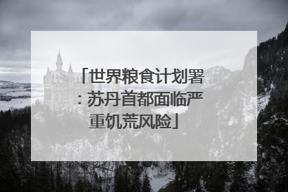 世界粮食计划署：苏丹首都面临严重饥荒风险