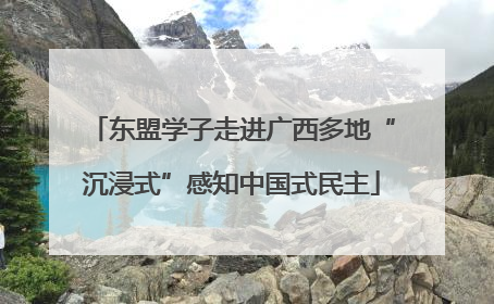 东盟学子走进广西多地“沉浸式”感知中国式民主