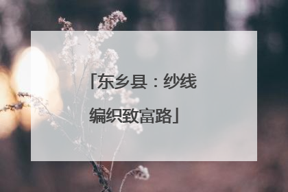 东乡县：纱线编织致富路