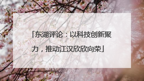 东湖评论：以科技创新聚力，推动江汉欣欣向荣
