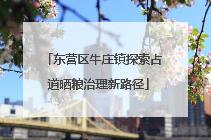 东营区牛庄镇探索占道晒粮治理新路径