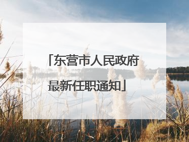 东营市人民政府最新任职通知