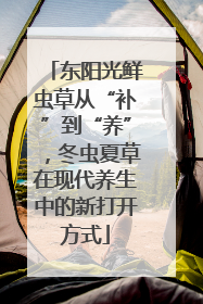 东阳光鲜虫草从“补”到“养”，冬虫夏草在现代养生中的新打开方式