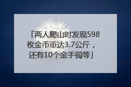 两人爬山时发现598枚金币重达3.7公斤，还有10个金手镯等