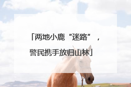 两地小鹿“迷路”，警民携手放归山林