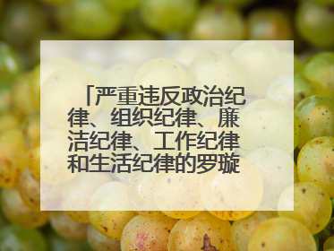 严重违反政治纪律、组织纪律、廉洁纪律、工作纪律和生活纪律的罗璇，非法收受他人巨额财物