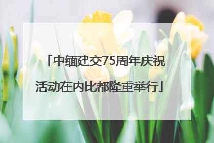 中缅建交75周年庆祝活动在内比都隆重举行