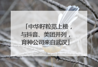 中华籽粒苋上榜，与抖音、美团并列，育种公司来自武汉