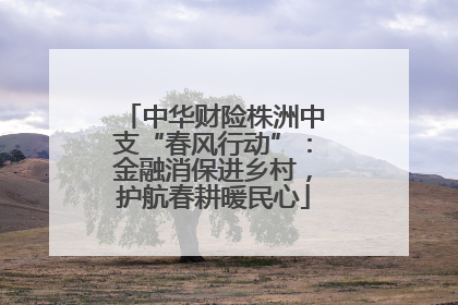 中华财险株洲中支“春风行动”：金融消保进乡村，护航春耕暖民心