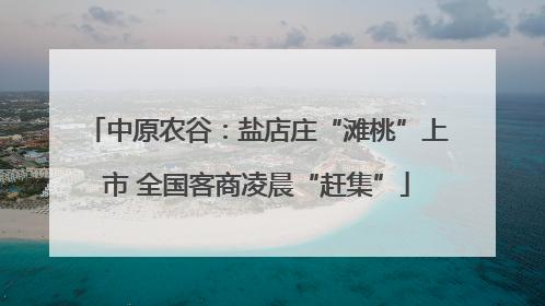 中原农谷：盐店庄“滩桃”上市 全国客商凌晨“赶集”