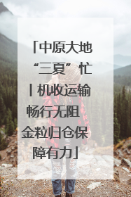 中原大地“三夏”忙丨机收运输畅行无阻 金粒归仓保障有力