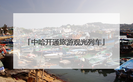 中哈开通旅游观光列车